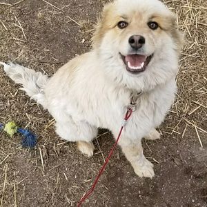 Meet your Posher, Lindsey